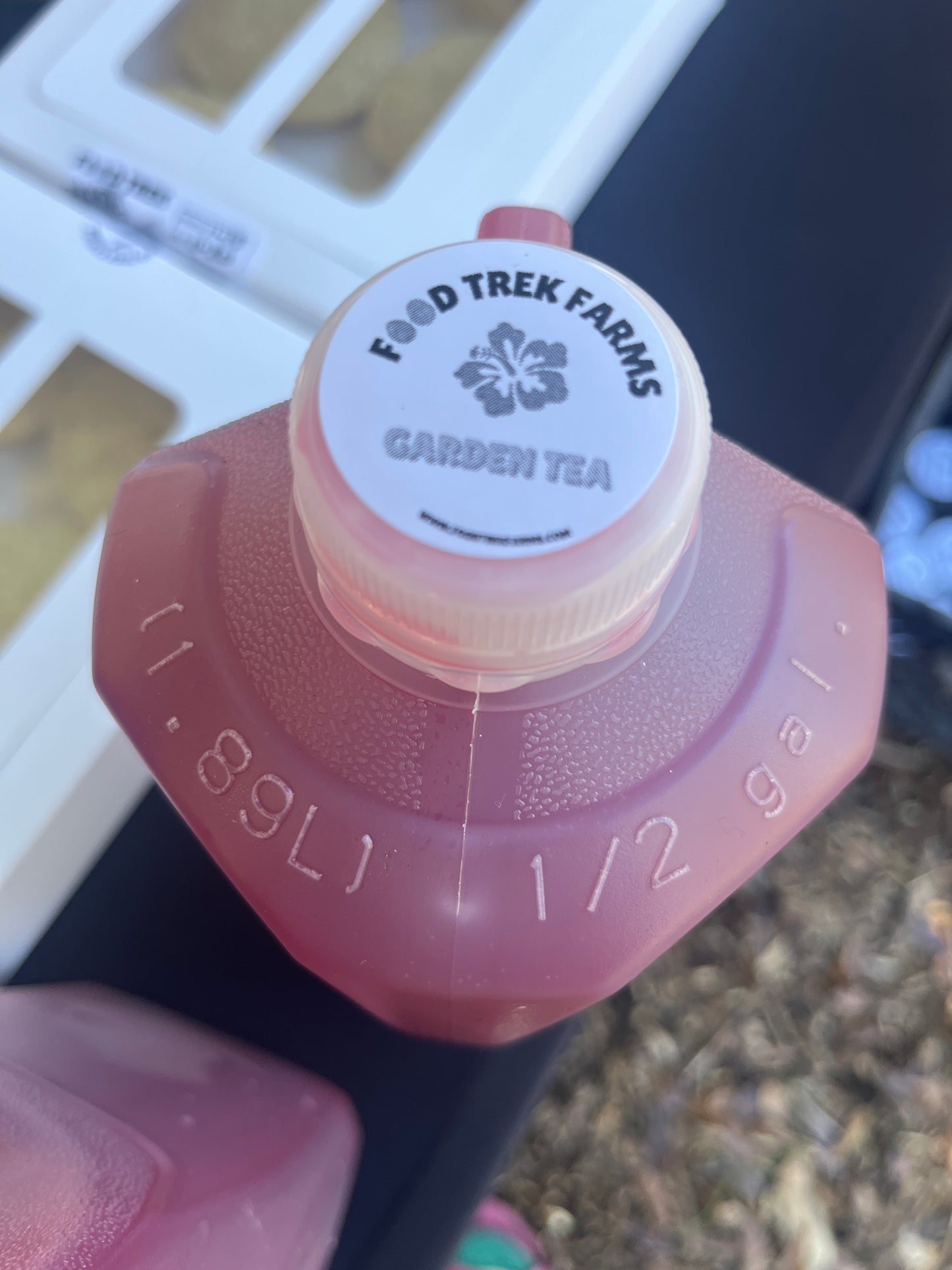 Seasonal Tea 1/2 Gallon