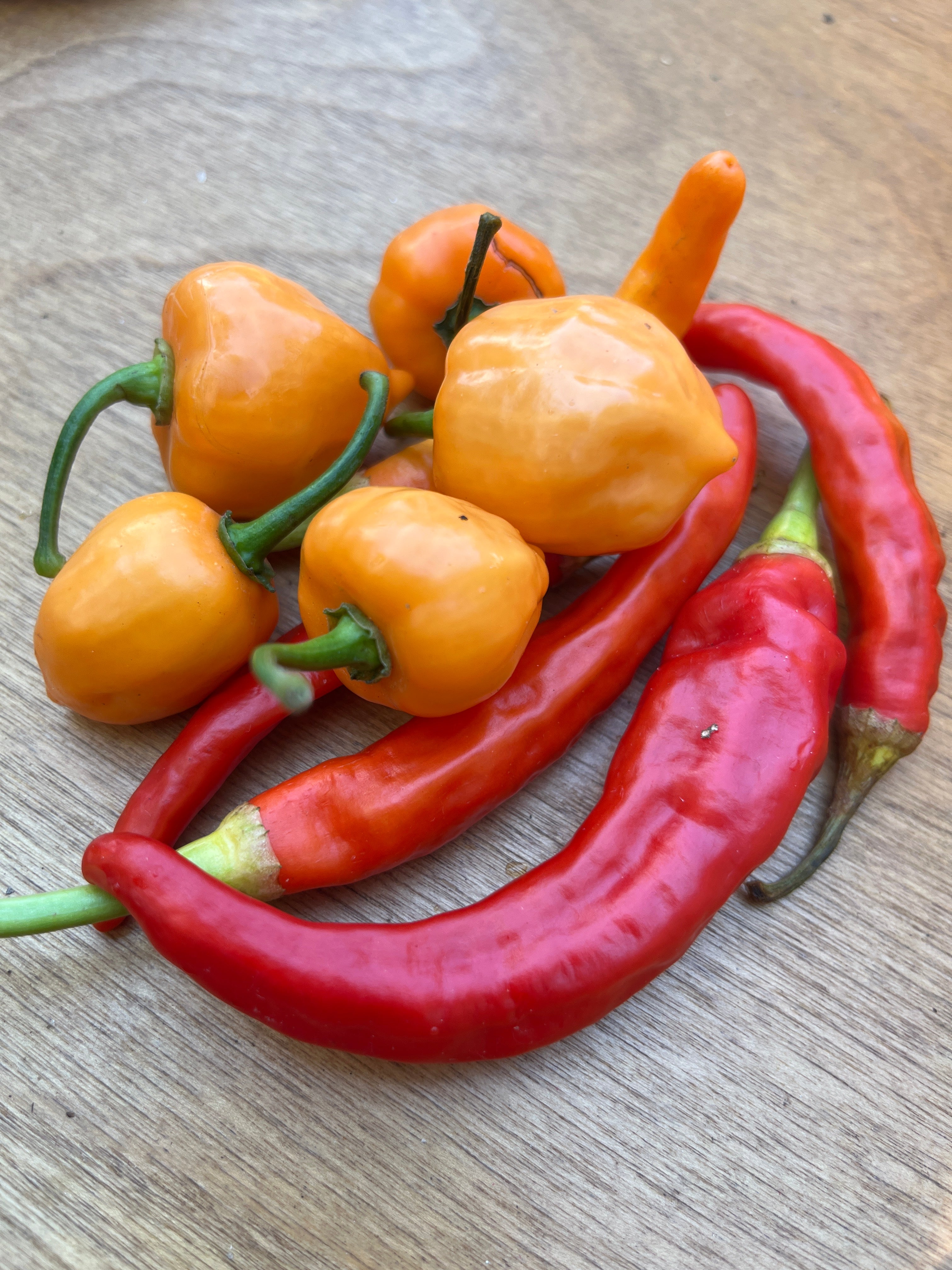 Summer Veggie Basket