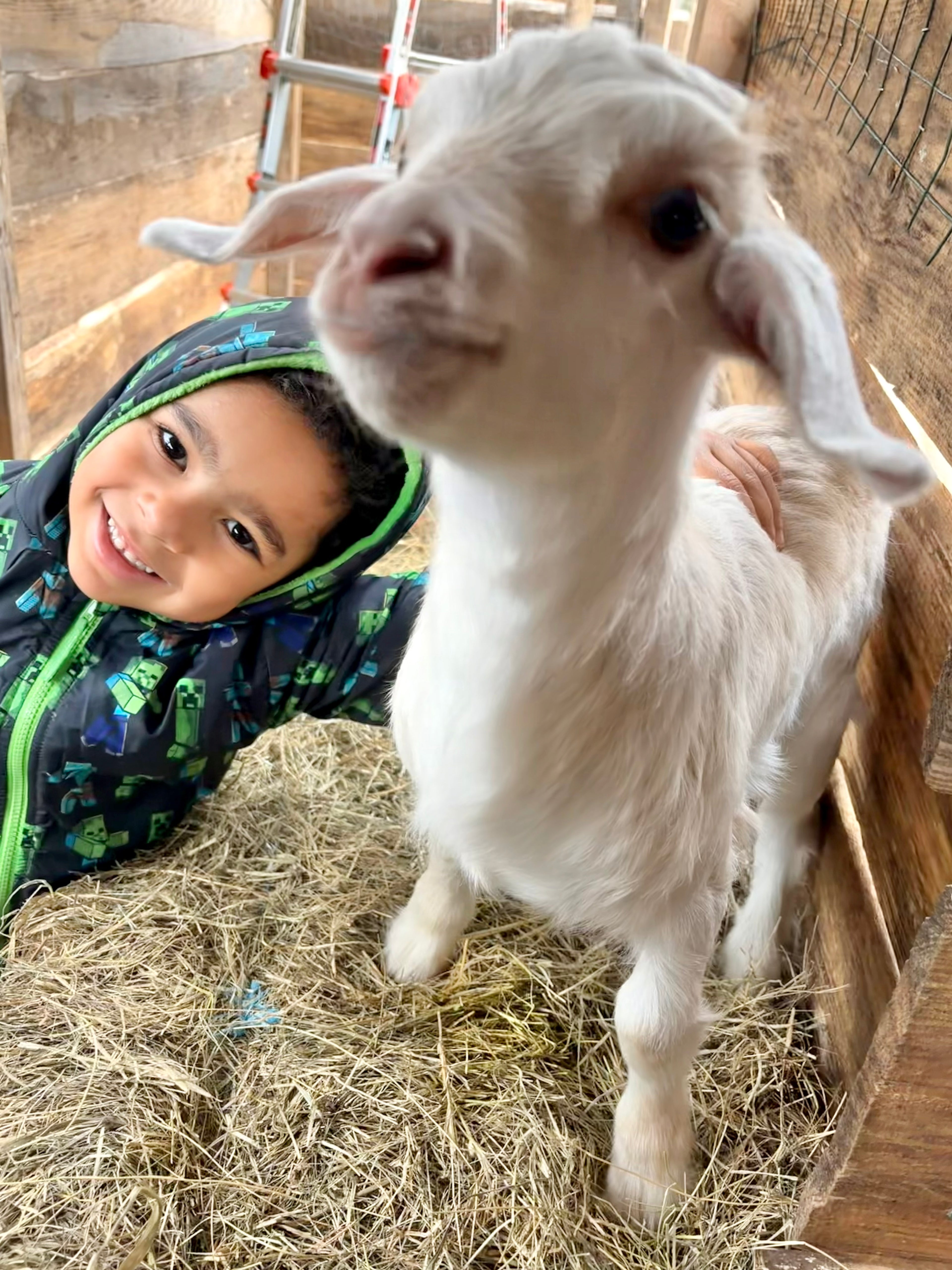 Storytime with the Goats