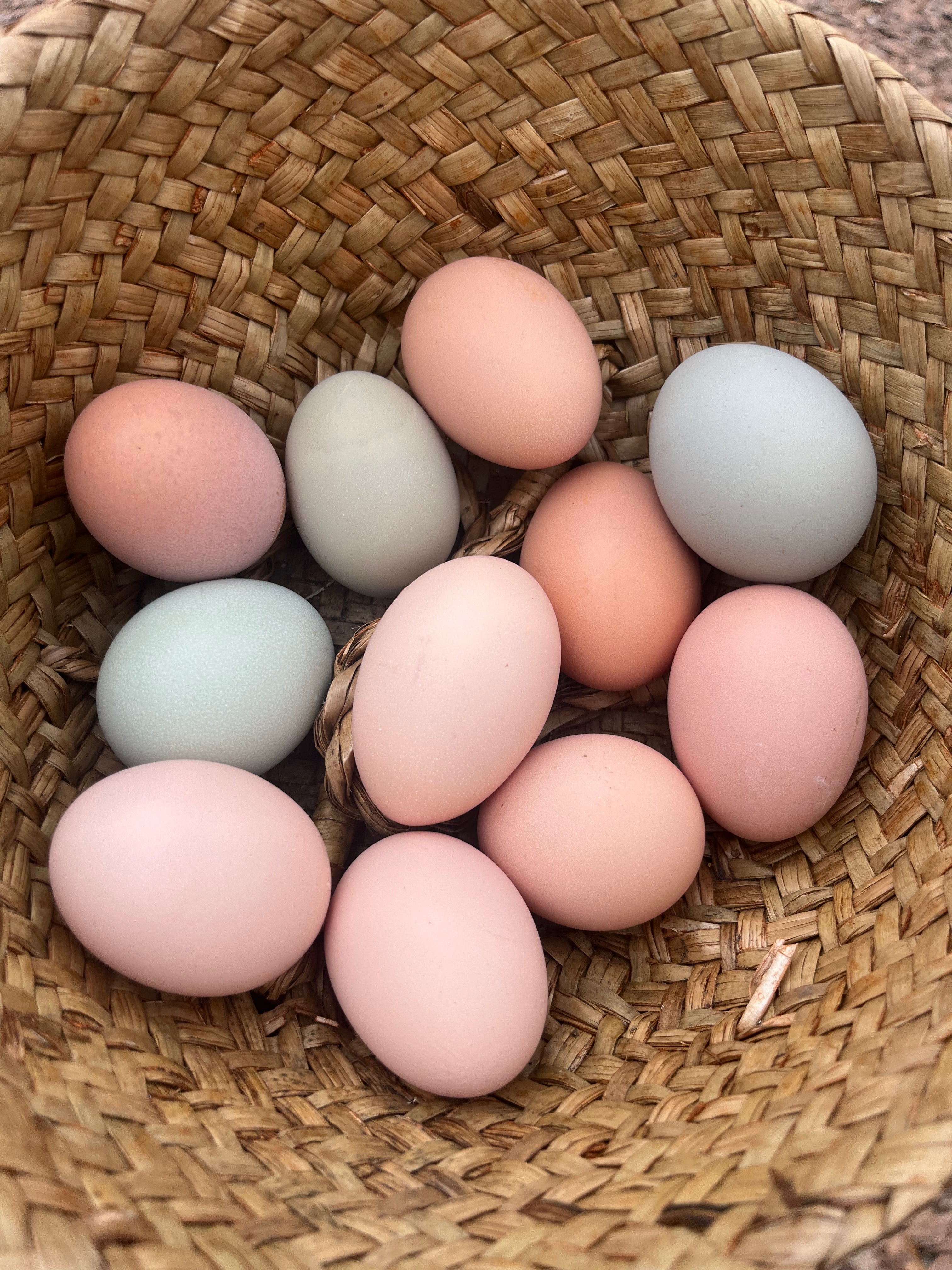 Farm Fresh Eggs